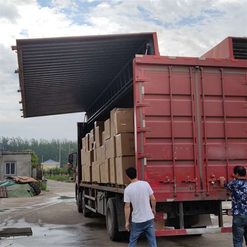 武侯区扎囊县：物流专线的高效货运之旅